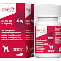 Galliprant 60 mg for Dogs