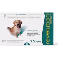 Revolution Topical Solution for Dogs 40.1- 85 lbs