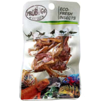 Pro Bugs Eco Fresh Grasshopper