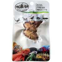 Pro Bugs Eco Fresh Dubia Cockroach