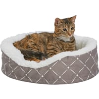 Midwest Quiet Time Couture Orthopedic Cradle Dog Bed