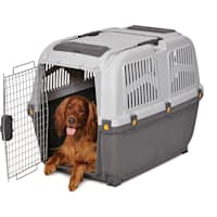Midwest Skudo Plastic Travel Carrier for Dogs