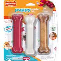 Nylabone Holiday Puppy Starter Kit Chew Toys & Treat Chicken & Bacon