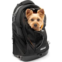 Kurgo Dog G-Train K9 Black Backpack