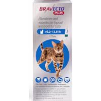 Bravecto Plus Topical Solution for Cats Greater Than 6.2-13.8 lbs