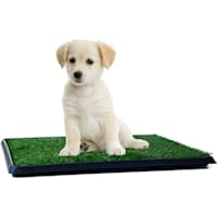 PETMAKER Puppy Potty Trainer