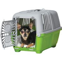 Midwest Spree Plastic Green Pet Travel Carrier