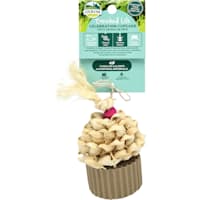 Oxbow Enriched Life Celebration Cupcake for Small Animals