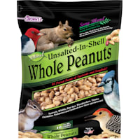 FM Browns Song Blend Unsalted In-Shell Whole Peanuts Bird Food