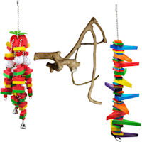 A&E Cage Company Starter Bundle for Large Birds