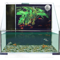 Penn Plax AquaTerrium Tank