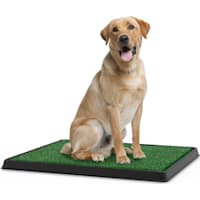 Pet Adobe Artificial Grass Potty Trainer Mat for Dogs