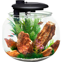 Penn Plax 10 Gallons 360 Aquasphere Tank