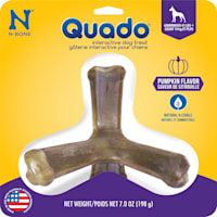 N-Bone Quado Pumpkin Flavor Interactive Large Dog Treats