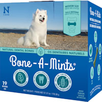 N-Bone Bone-A-Mints Mint Flavor Daily Dental Medium Bone for Dogs