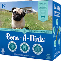 N-Bone Bone-A-Mints Mint Flavor Daily Dental Small Bone for Dogs