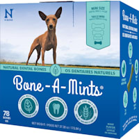 N-Bone Bone-A-Mints Mint Flavor Daily Dental X-Small Bone for Dogs