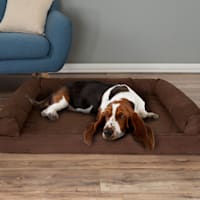 Pet Adobe Brown Orthopedic Pet Sofa Bed