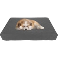 Pet Adobe Waterproof Memory Foam Pet Bed