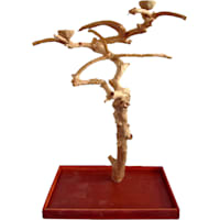 A&E Cage Company Medium Java Wood Boxed Tree