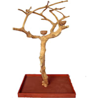 A&E Cage Company Small Java Wood Boxed Tree
