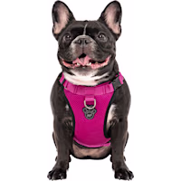 Canada Pooch Pink Everything Dog Harness