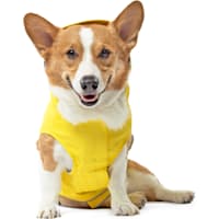 Canada Pooch Yellow Dog Torrential Tracker