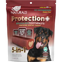 Ark Naturals Protection+ Brushless Toothpaste Fortified Dental Chew for Large Dogs Upto 40+ lbs.