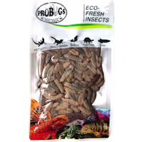 Pro Bugs Repashy Eco-Fresh Black Soldier Fly Larvae