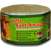 Horsemen's Pride Stall Snack Refill Salt Horse Treats
