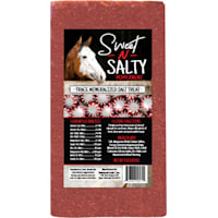 Kalmbach Feeds Sweet 'N Salty Peppermint Flavored Treat Brick for Horses