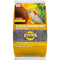 AUDUBON PARK Black Oil Sunflower Seed Wild Bird Food