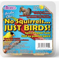 Brown's Garden Chic! No Squirrels Just Birds! Suet Cake