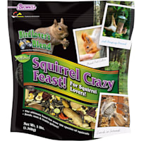 Brown's Bird Lover's Blend Squirrel Crazy Feast