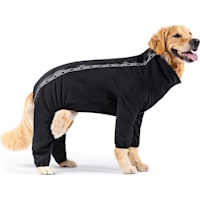Canada Pooch Black Slush Suit for Dogs