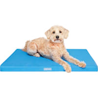 Canada Pooch Chill Out Dog Cooling Mat
