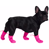 Canada Pooch Pink Waterproof Dog Boots
