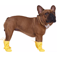 Canada Pooch Yellow Waterproof Dog Boots