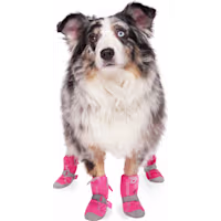 Canada Pooch Pink Hot Pavment Dog Boots