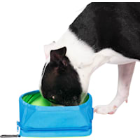 Canada Pooch Blue Chill Seeker Freeze-And-Go Dog Water Bowl