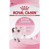 Royal Canin Feline Health Nutrition Kitten Dry Cat Food