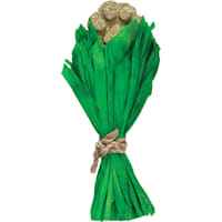 A&E Cage Company Nibbles Hay Chew Bouquet for Small Animals