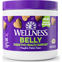 Wellness Pumpkin Patch Flavored Soft Chew Digestive Health Supplements for Dogs