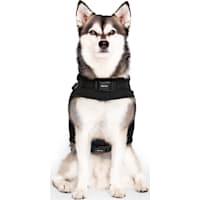 Canada Pooch Dog Harness Puffer
