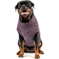 Canada Pooch Soho Dog Sweater