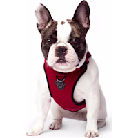 Canada Pooch Everything Dog Harness