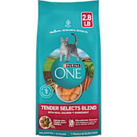 Purina ONE Natural Tender Selects Blend With Real Salmon Dry Cat Food