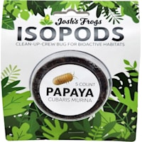 Assorted Isopod Culture
