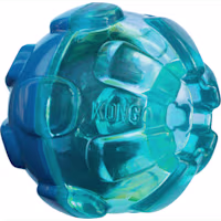 KONG Rewards Ball Dog Toy