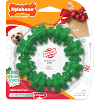 Nylabone Power Chew Holiday Textured Dog Chew Ring Winter Green for Dogs Up to 25 lbs.